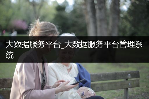 大数据服务平台_大数据服务平台管理系统